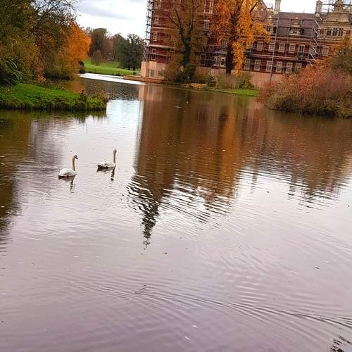 Photo #12064629