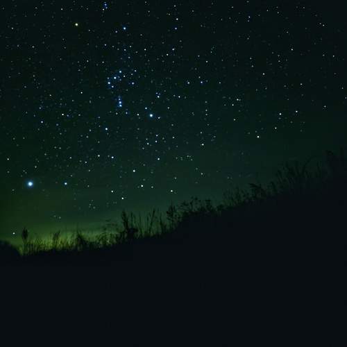 Photo #12064960