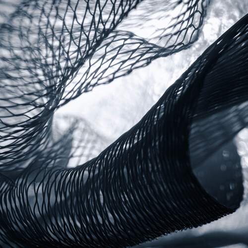 Photo #12064965