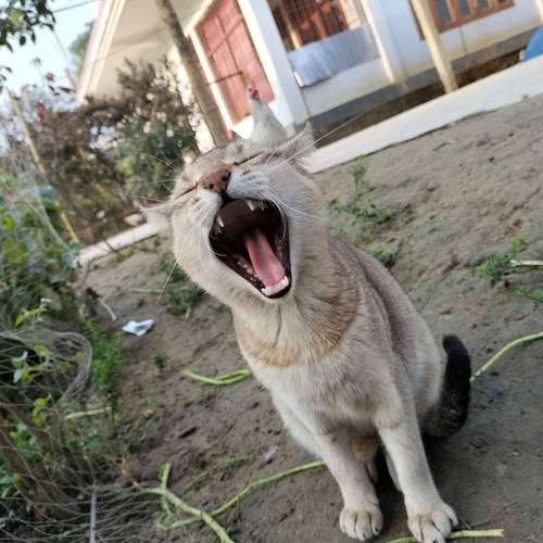 Photo #12064972