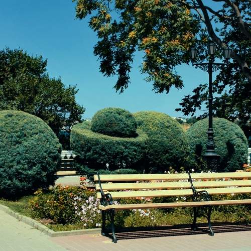 Photo #12065024