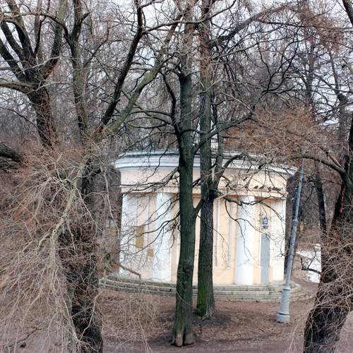 Photo #12065027