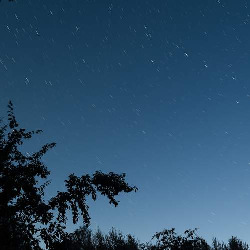 Photo #12065316