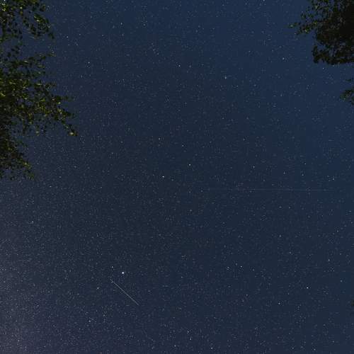 Photo #12065317