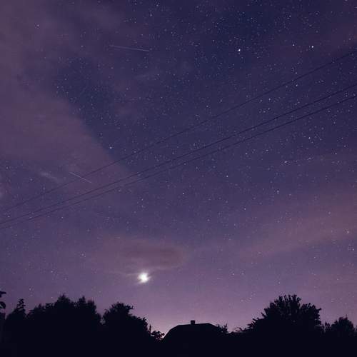 Photo #12065318