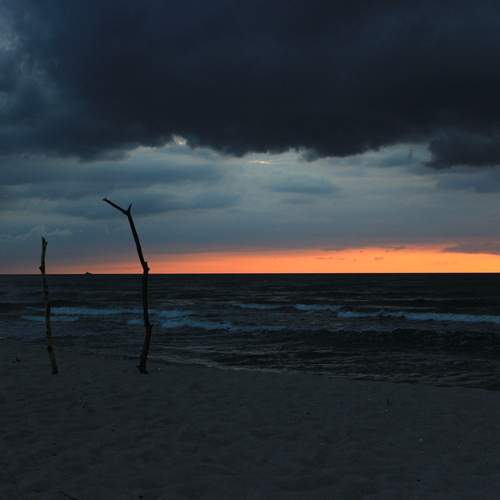 Photo #12065321