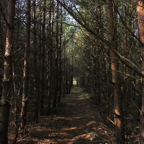 Photo #12065341