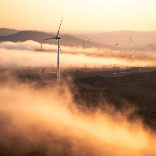 Фотография #12065402