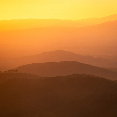 Фотография #12065427