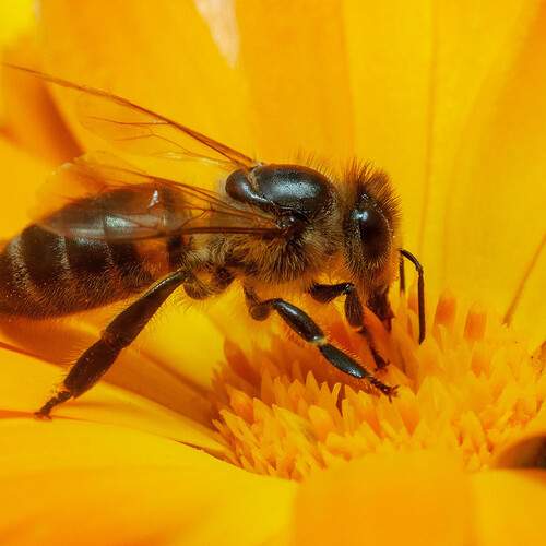 Photo #12065514