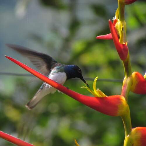Photo #12065724