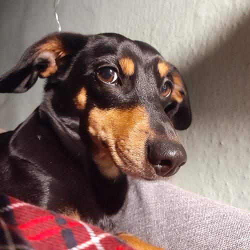 Photo #12065773