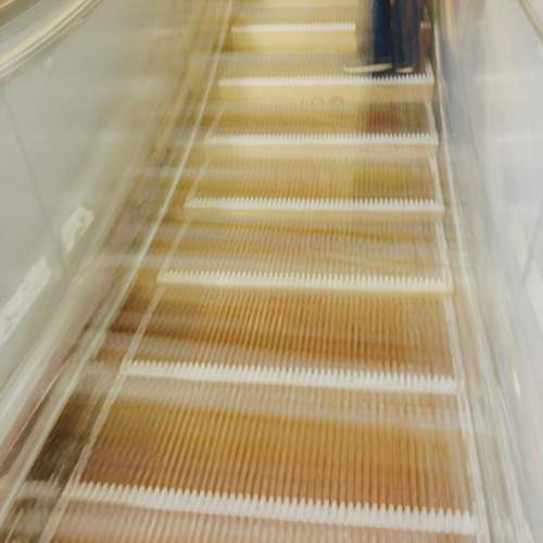 Photo #12065791
