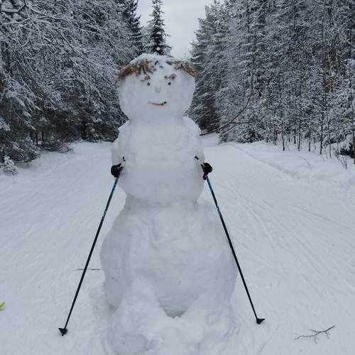 Photo #12065841