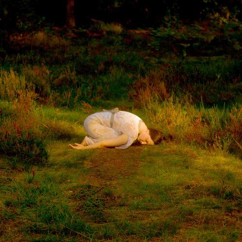 Photo #12065848