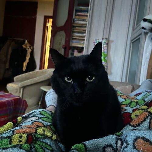 Photo #12065854