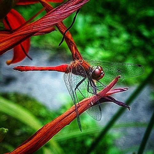 Photo #12066231