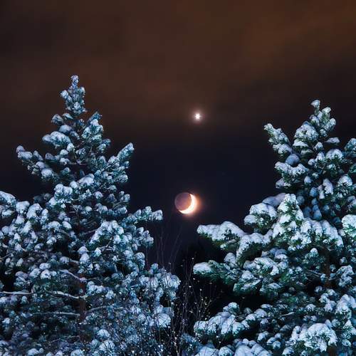 Photo #12066272