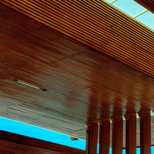 Lines and Light in Transit