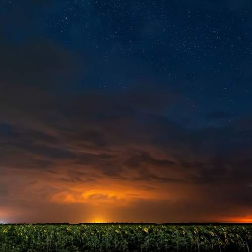 Photo #12067035