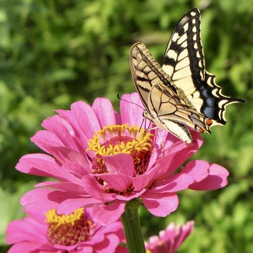 Photo #12067053