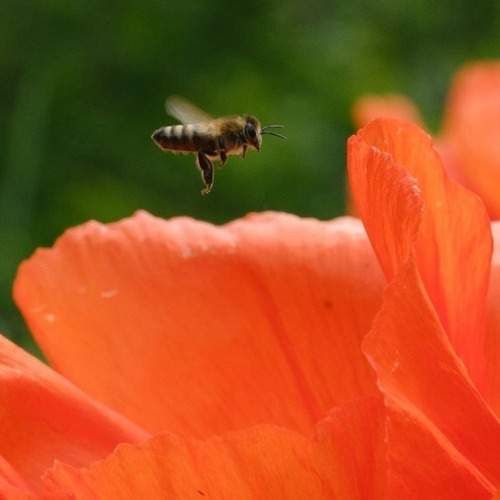 Photo #12067072