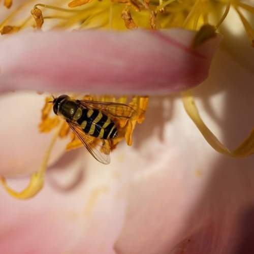 Photo #12067073