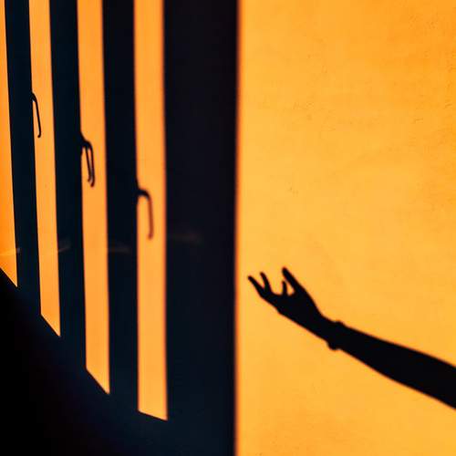 Photo #12067144