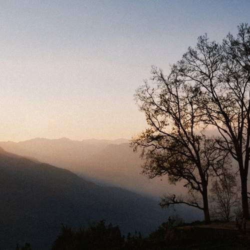 Photo #12067184