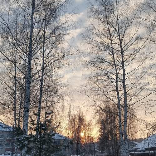 Photo #12067369
