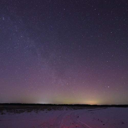 Photo #12067838