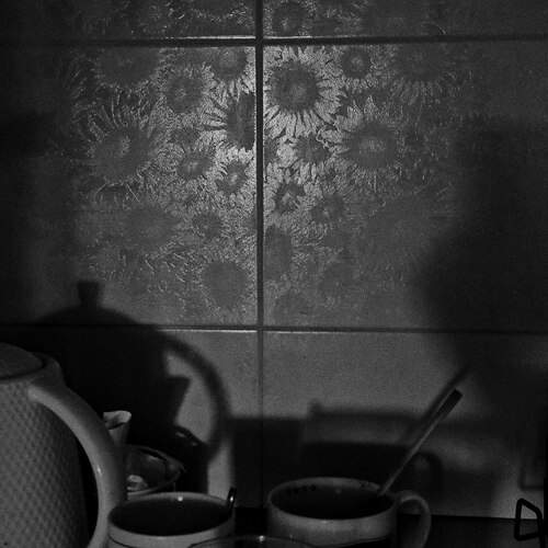Photo #12067852
