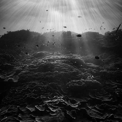 Фотография #12068384