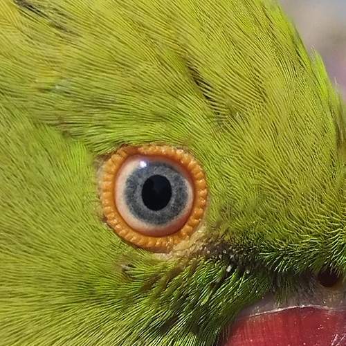 Photo #12068402