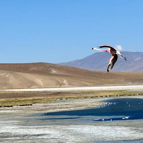 Photo #12069099