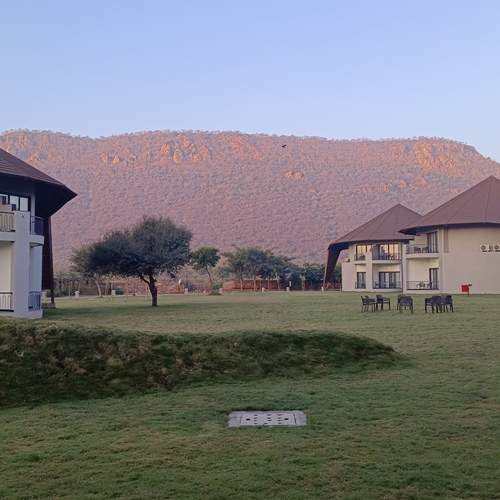 Photo #12069497