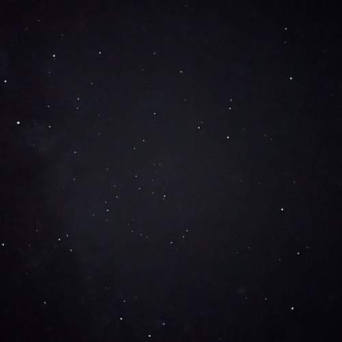 Photo #12069515