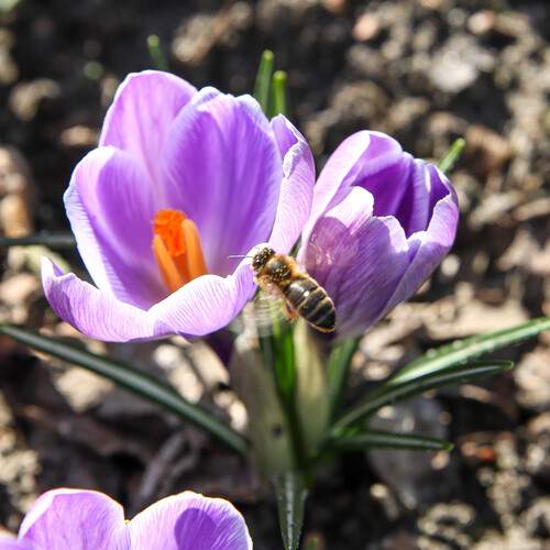 Photo #12069813