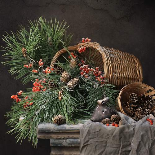 Photo #12069946