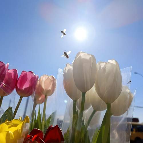 8 March