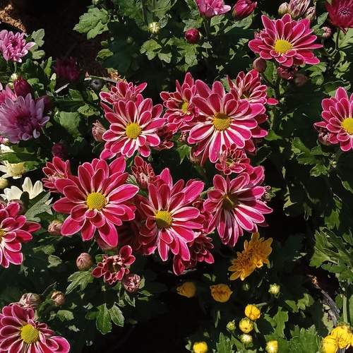 Photo #12070166