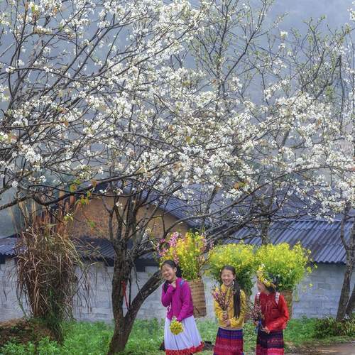 Photo #12070328