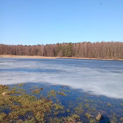 Photo #12070526