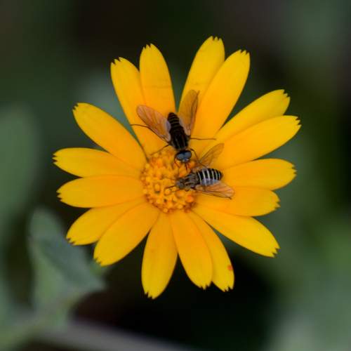 Photo #12070546