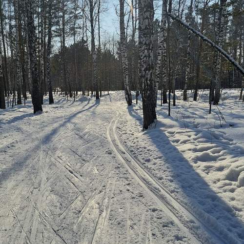 Photo #12070620