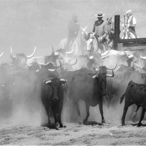 Photo #12070734