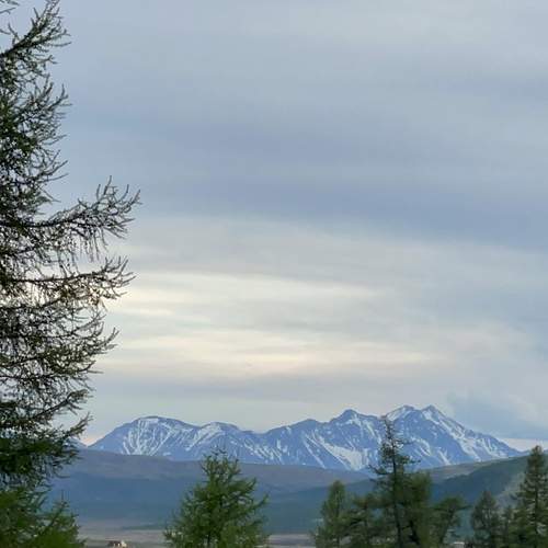 Photo #12070938