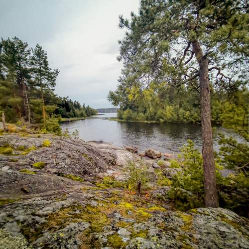 Photo #12070948