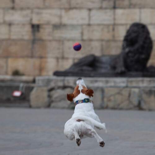 Photo #12070956