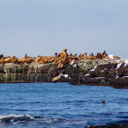 Photo #12071160
